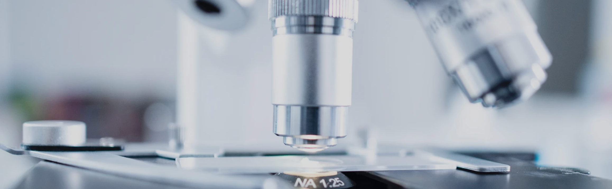Why Biotechnology is the Future